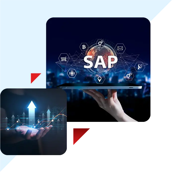 SAP AMS services