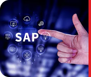 SAP Issue Resolution Services